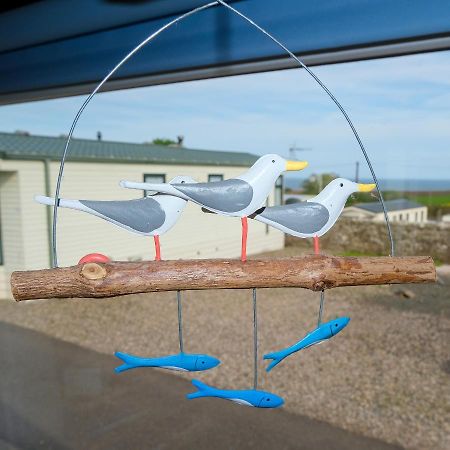 Apartmán Kittiwake Saint Cyrus Exteriér fotografie