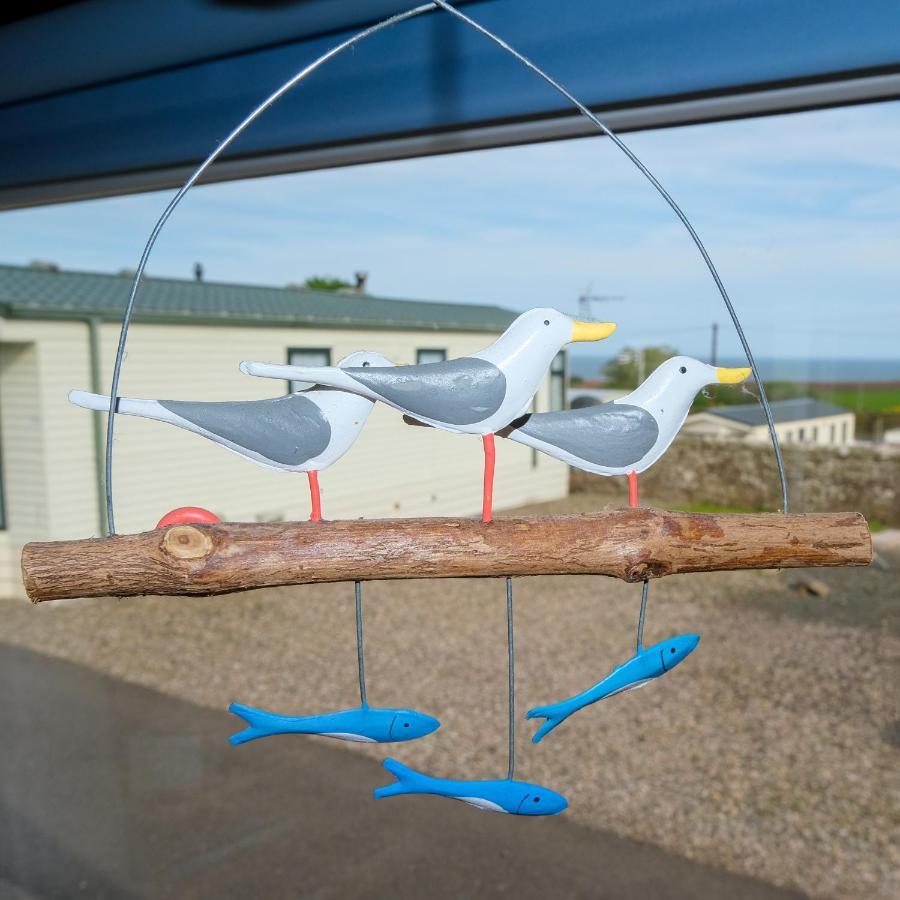 Apartmán Kittiwake Saint Cyrus Exteriér fotografie